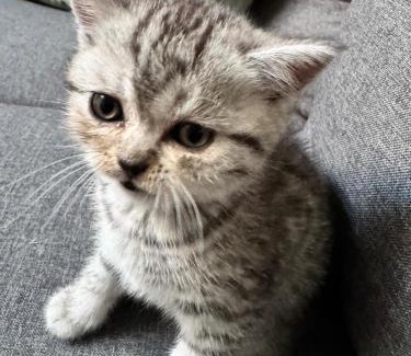 Pozzolengo Bed & Breakfast | B&B La Terrazza