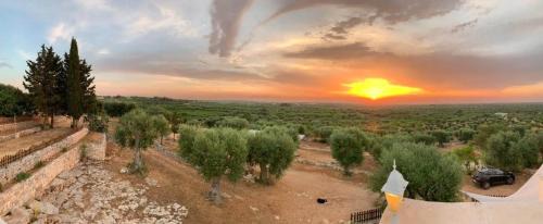 Conversano House | B & B Monte Adamo