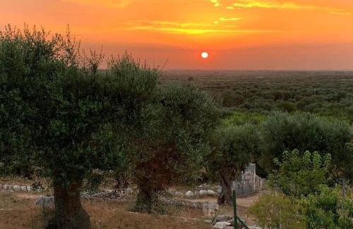 Conversano House | B & B Monte Adamo