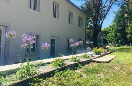 Roiano-Gretta-Barcola-Cologna-Scorcola Bed & Breakfast | B&B MonteCengio