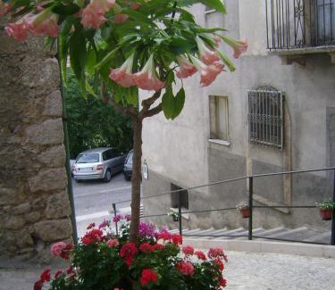Introdacqua Bed & Breakfast | B&B Myosotis