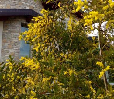 Lugana Bed & Breakfast | B&B Rosalu - Adults Only