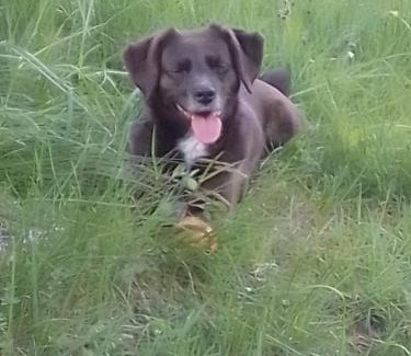 Sagron Mis Bed & Breakfast | B&b Sot al Piz