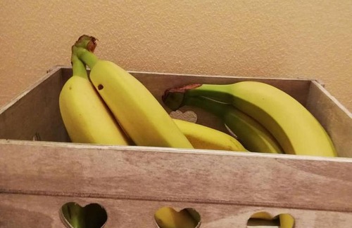 Albenga Bed & Breakfast | b&b sotto le torri