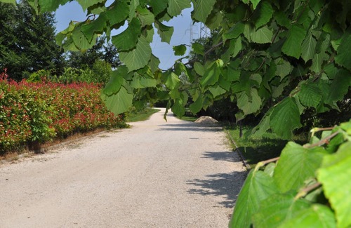 Spinea Apartment | B&B Tessyhouse in the countryside but close to the center