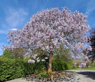 Quabeek Bed & Breakfast | B&B Uit de Kunst PEER