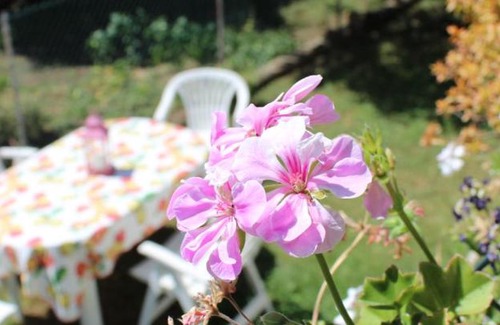 Cesate Bed & Breakfast | B&B Via Roma