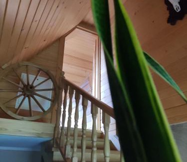 Zab House | B&R Pokoje Gościnne