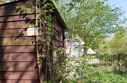 Sint-Antelinks RV Rental | Back-to-Nature - Glamping Zonnebloem A back-to-basics experience