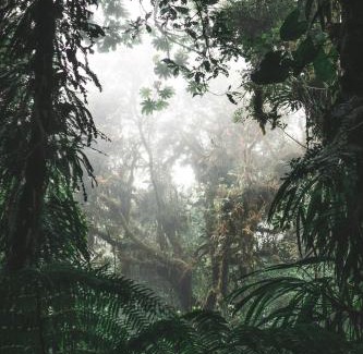 Entrada Other | Bajo La Luna Suites