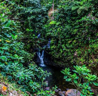 Entrada Other | Bajo La Luna Suites