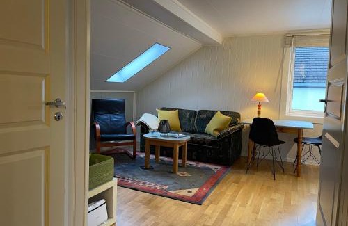 Andalsnes Apartment | Bakkebo Trollstigen
