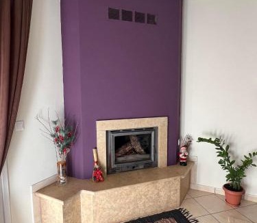 Trikala Apartment | Bakopoulos resort.Ενα όμορφο διαμέρισμα με τζάκι