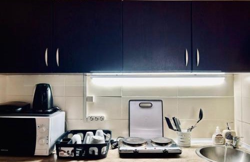 Bakuriani Apartment | Bakuriani Mgazavrebi block 2 apartment 207