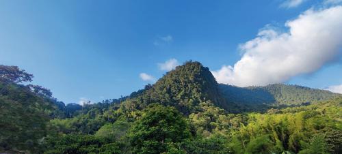 Mindo Apartment | Balcón de Mindo
