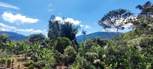 Mindo Apartment | Balcón de Mindo