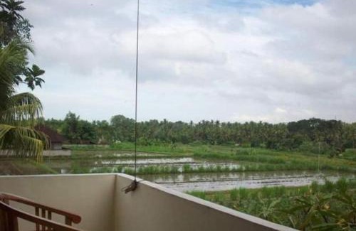 Blahbatuh House | Bali Traditional homestay