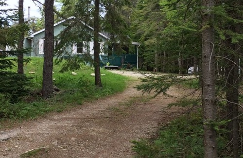 Northern Bruce Peninsula Cabin | 'Bambi Cottage'-Tobermory -hidden gem, very private house with salt swimming pool.