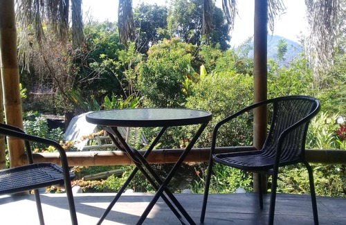 Minca House | BAMBOO HOUSE in lush tropical vegetation