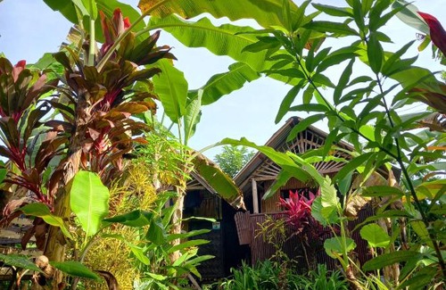 El Nido Hotel | Banana Grove El Nido