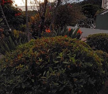 Aguas de Lindoia House | Bangalô - quarto Saxofone