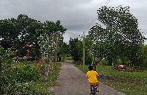 Suan Phueng Resort | Bankhu Homestay บ้านคู่โฮมสเตย์