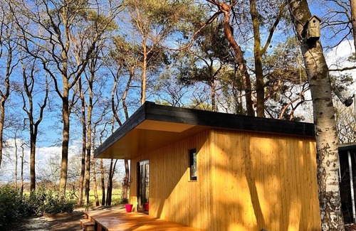 Zuidwolde Cabin | Barber houses in a wooded area
