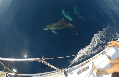 Lampedusa Boat Rental | Barca a Vela DELFINA