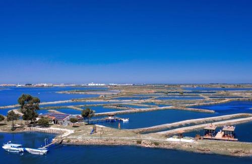 Aveiro Boat Rental | Barcos Casa OstrAveiro