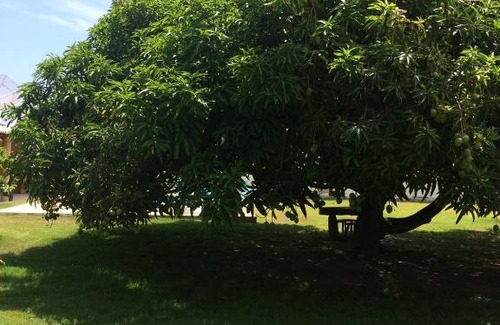 Brejo House | Barra Suas Férias