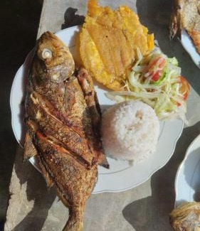 Monitos Hotel | Barracuda Glamping