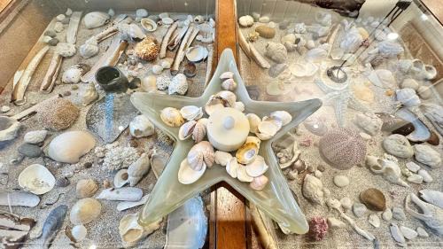 Bostad House | Basecamp Mountain View Lofoten