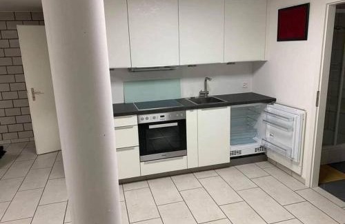 Muttenz Apartment | Basel - 5 mins away - Modern Basement Studio with Kitchen 35m2 in Muttenz