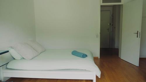 Clara Apartment | Basel Center Apartment V&V