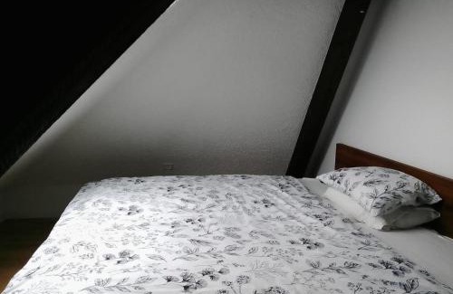 Binningen House | Basel Rühige Zimmer mit grösse Doppelbett