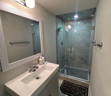 Brampton Apartment | Basement