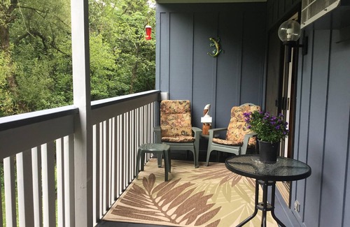 Bayfield Condo | Bayfield- Charming Condo, Jumping Off Point to Apostles