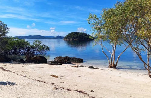 Coron House | Beach Bungalow at Sand Island Ecolodge and Dive Resort