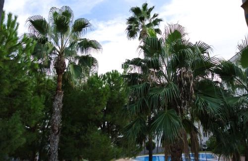 El Albir Apartment | Beach Flat Albir,Esmeralda