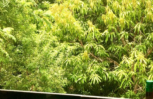 Suape House | Beach house with spectacular views, Paraízo, Calhetas, and Eco Resort Cabo beaches