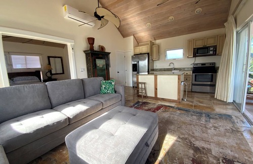 Green Turtle Cay House | Beachfront Estate on Coco Bay , 2 apartments 1 house 7 bedrooms 7 bathrooms