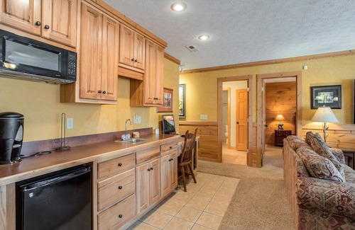 Black Bear Falls Cabin | Bear Slide | Game Room + Hot Tub & Mountain Views!