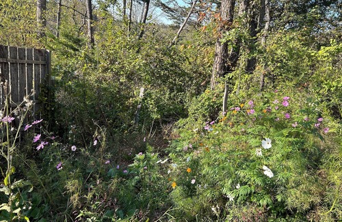 Asheville House | Bearing Helene 2-bedroom house with heat, power, well water,service. 🧸