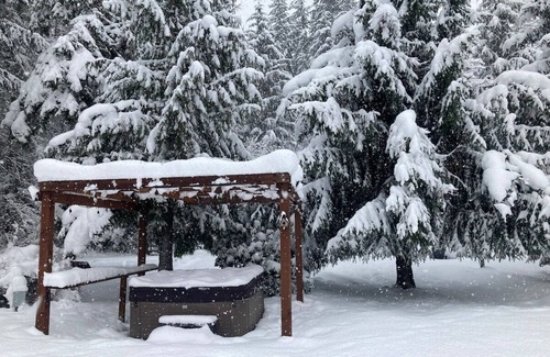 Ashford House | Bear’s Den hideaway with hot tub