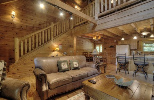 Gatlinburg - Pigeon Forge House | Bears Up There - Need A Little R&R In Your Life?