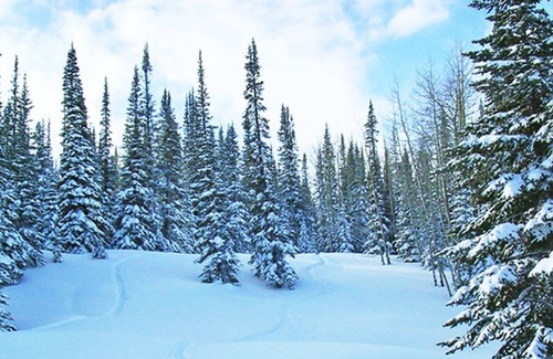 Mesa Apartment | Beautiful 1 bedroom unit at resort, sleeps 6