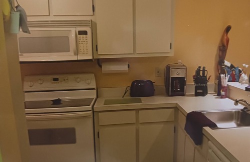 Biggar Condo | Beautiful 2 bedroom 2 bath condo in Ft Myers gated community!