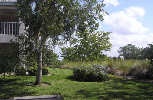 Hammock Bay Condo | Beautiful 3 Bed Condo close to Marco