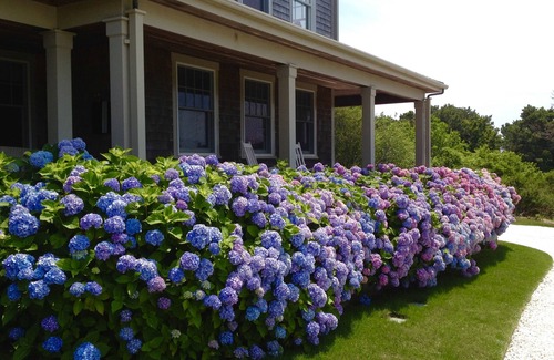 Cliff House | Beautiful 6 BR Cliff Rd home. Pool, central A/C, walk to beaches & town. NO TAX!