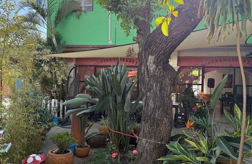 Cuauhtemoc Cardenas Apartment | Beautiful and peaceful 2-bedroom apartment with WiFi in Oaxaca